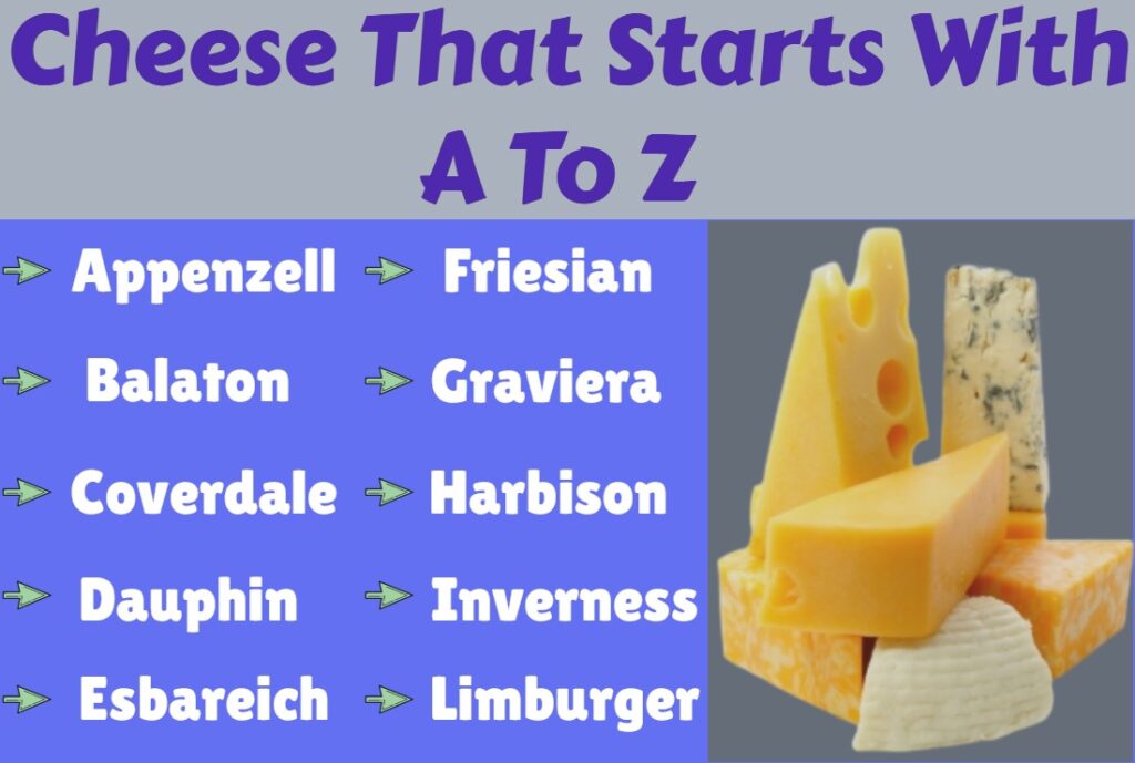 cheese-that-starts-with-a-to-z-delicious-list-word-tutes