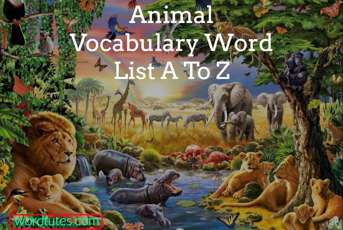 Animal Vocabulary Word List A To Z