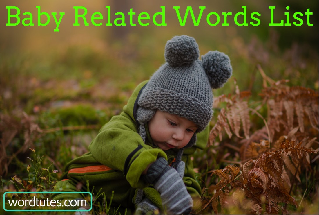 Baby Related Words List