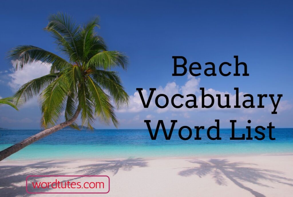 Beach Vocabulary Word List Beach Related Words Word Tutes 