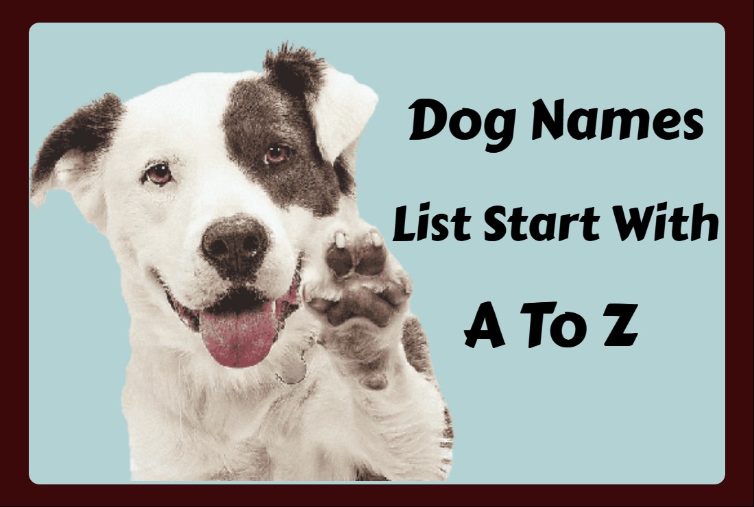 Dog Names List Start With A To Z