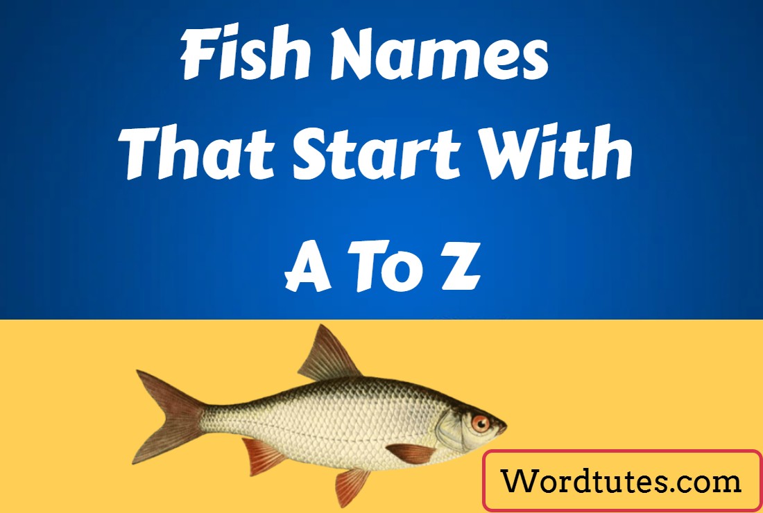 Fish Names That Start With A To Z