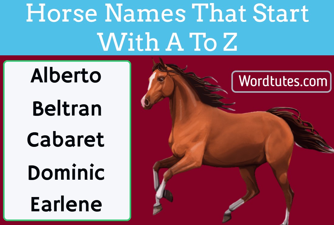 Horse Names That Start With A To Z