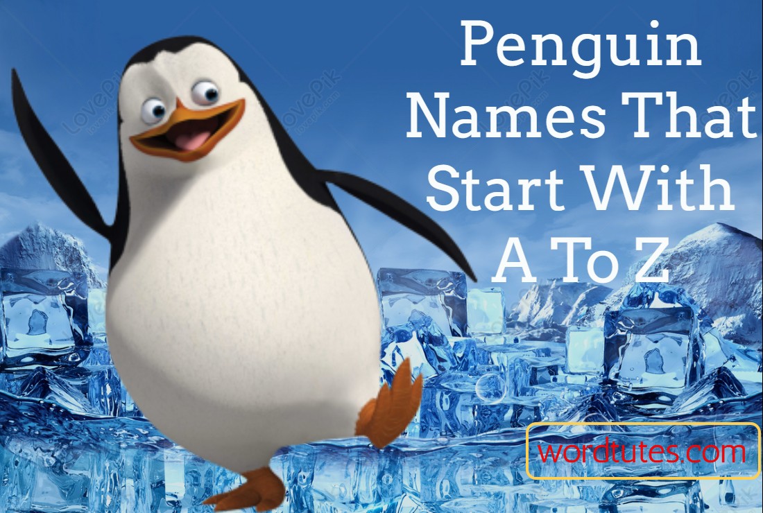 Penguin Names That Start With A To Z