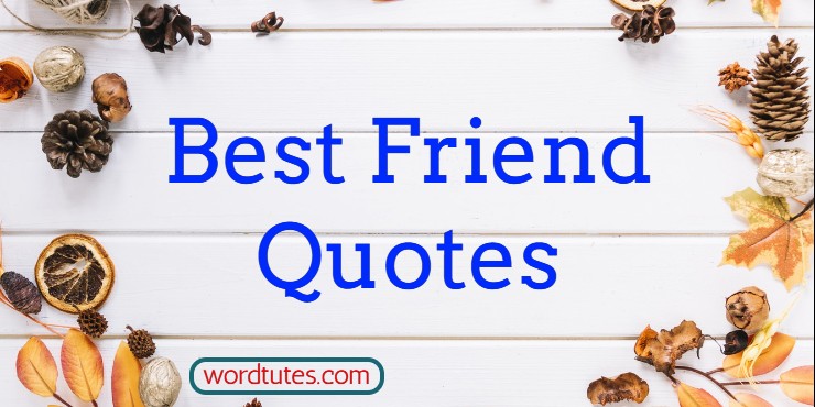 Best Friend Quotes