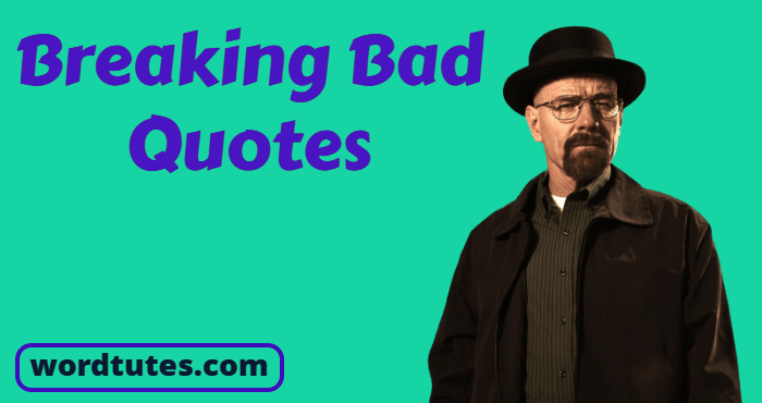 Breaking Bad Quotes