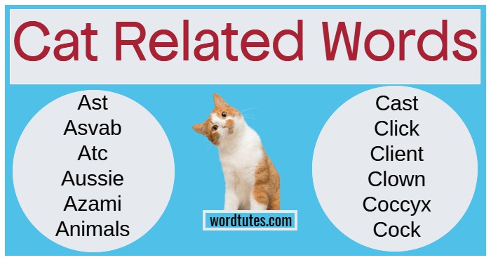 Cat Related Words