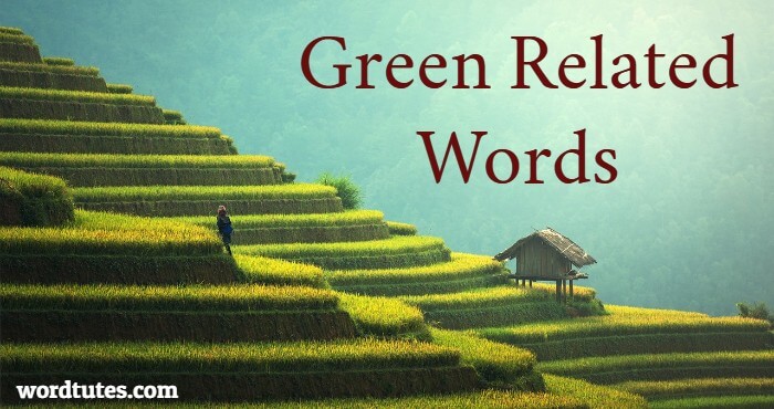 Green Related Words