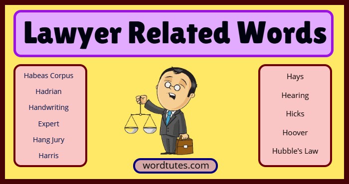 Lawyer Related Words