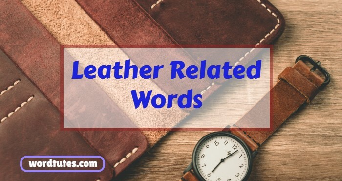 leather related words