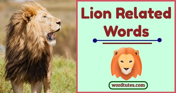 Lion Related Words