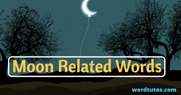 Moon Related Words