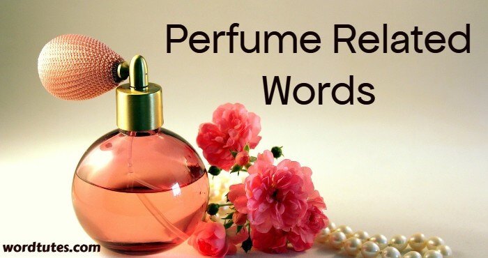 Perfume Related Words