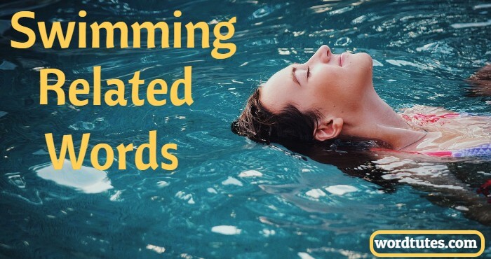 swimming-related-words-dive-in-word-tutes