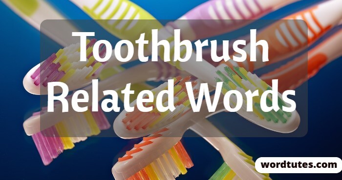 Toothbrush Related Words