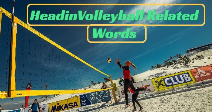 Volleyball Related Words