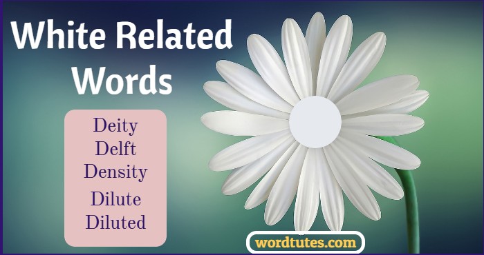 White Related Words