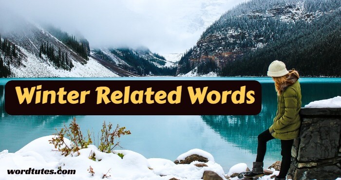 Winter Related Words
