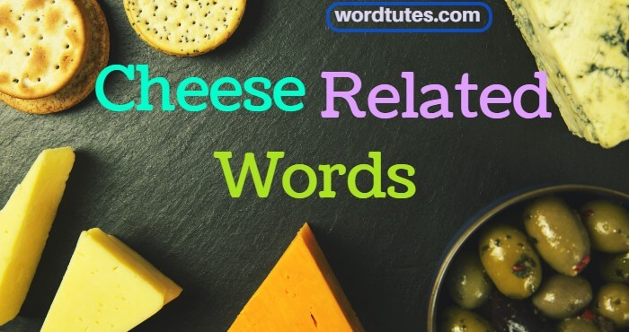 cheese related words