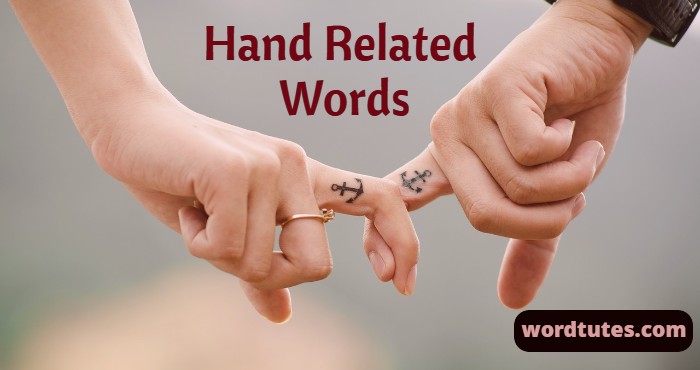 hand related words