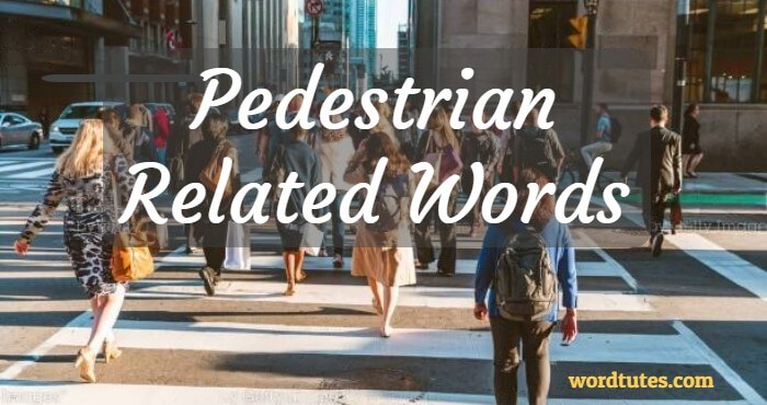 pedestrian related words