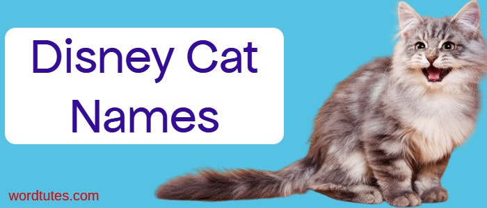 disney-cat-names-magical-feline-names-word-tutes