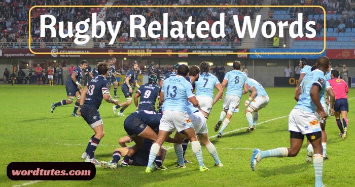 Rugby Related Words