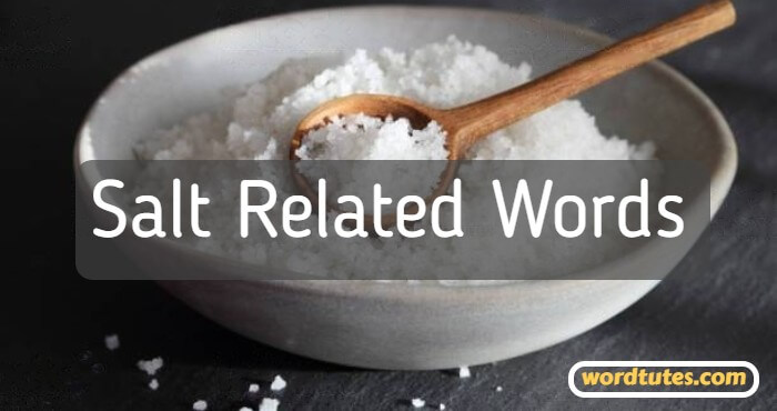 Salt Related Words