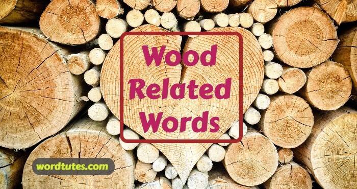 Wood Related Words