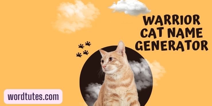 Warrior Cat Name Generator in 2023  Warrior cats, Warrior cats name  generator, Warrior cat names