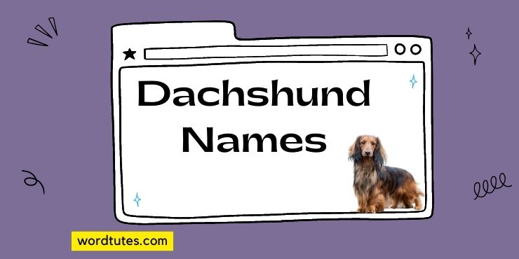 Dachshund Names